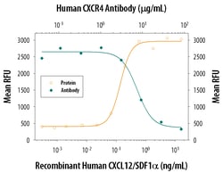 Human CXCR4 Antibody, R D Systems 100ug; Unlabeled:Antibodies, Monoclonal