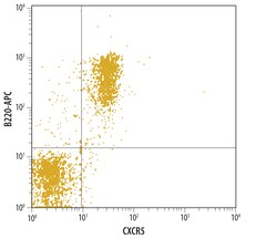 Mouse CXCR5 Antibody, R D Systems 25&mu;g; Unlabeled:Antibodies, Polyclonal