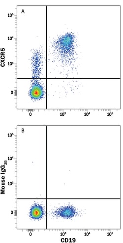 Human CXCR5 APC-conjugated Antibody, R D Systems 100 Tests; APC:Antibodies,