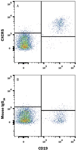 Human CXCR5 Fluorescein-conjugated Antibody, R D Systems 100 Tests; Fluorescein:Antibodies,