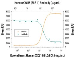Human CXCR5 Antibody, R D Systems 100 &mu;g | Buy Online | R&D Systems | Fisher Scientific