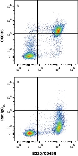 Mouse CXCR5 Antibody, R D Systems 25&mu;g; Unlabeled:Antibodies, Monoclonal