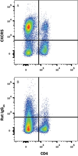 Mouse CXCR5 Antibody, R D Systems 25&mu;g; Unlabeled:Antibodies, Monoclonal