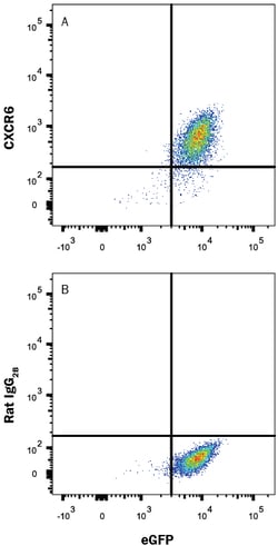 Mouse CXCR6 PerCP-conjugated Antibody, R D Systems 25 Tests; PerCP:Antibodies,
