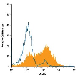 Human CXCR6 APC-conjugated Antibody, R D Systems 100 Tests; APC:Antibodies,
