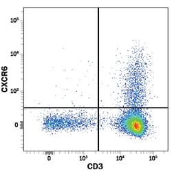 Human CXCR6 PE-conjugated Antibody, R D Systems 25 Tests; PE:Antibodies,