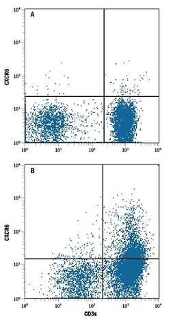 Human CXCR6 Antibody, R D Systems 25&mu;g; Unlabeled:Antibodies, Monoclonal