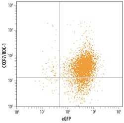 Mouse CXCR7/RDC-1 Antibody, R D Systems 100ug; Unlabeled:Antibodies, Monoclonal