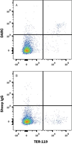 Mouse/Rat DARC Antibody, R D Systems 100&mu;g; Unlabeled:Antibodies, Polyclonal
