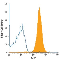 Human DARC PE-conjugated Antibody, R D Systems 100 Tests; PE:Antibodies,