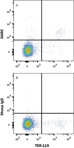 Mouse/Rat DARC PE-conjugated Antibody, R D Systems 100 Tests; PE:Antibodies,