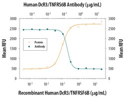 Human DcR3/TNFRSF6B Antibody, R D Systems 25&mu;g; Unlabeled:Antibodies,
