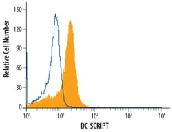 Human DC-SCRIPT/ZNF366 Antibody, R D Systems 25&mu;g; Unlabeled:Antibodies,