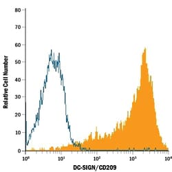 Human DC-SIGN/CD209 APC-conjugated Antibody, R D Systems 25 Tests; APC:Antibodies,