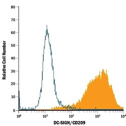 Human DC-SIGN/CD209 Fluorescein-conjugated Antibody, R D Systems:Antibodies:Primary