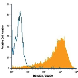 Human DC-SIGN/CD209 PE-conjugated Antibody, R D Systems 25 Tests | Buy Online | R&D Systems | Fisher Scientific
