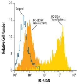 Human DC-SIGN/CD209 Antibody, R D Systems 25&mu;g; Unlabeled:Antibodies,