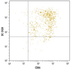 Human DC-SIGN/CD209 Antibody, R D Systems 25&mu;g; Unlabeled:Antibodies,
