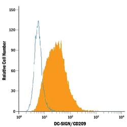 Mouse DC-SIGN/CD209 Antibody, R D Systems 25&mu;g; Unlabeled:Antibodies,