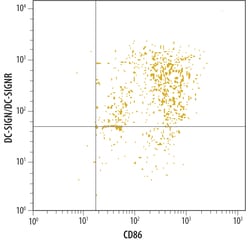 Human DC-SIGN+DC-SIGNR Antibody, R D Systems:Antibodies:Primary Antibodies