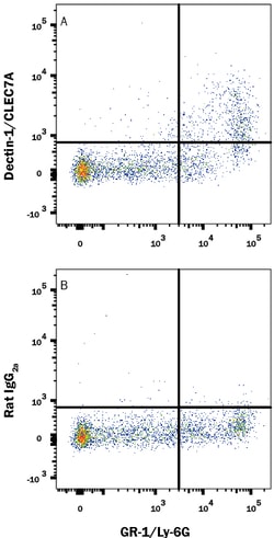 Mouse Dectin-1/CLEC7A APC-conjugated Antibody, R D Systems 100 Tests; APC:Antibodies,