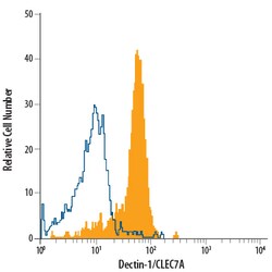 anti-Dectin-1/CLEC7A, PerCP, Clone: 259931, R D Systems 100 Tests; PerCP:Antibodies,