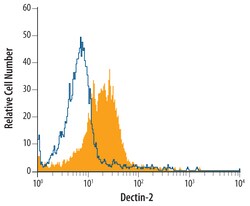 Human Dectin-2/CLEC6A Antibody, R D Systems 25&mu;g; Unlabeled:Antibodies,