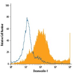Human/Mouse Desmocollin-1 Antibody, R D Systems 100ug; Unlabeled:Antibodies,