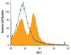 Mouse/Rat DLL1 Antibody, R D Systems 100&mu;g; Unlabeled:Antibodies, Polyclonal