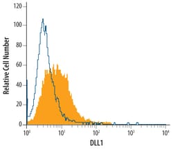 Human DLL1 Antibody, R D Systems 500&mu;g:Antibodies, Monoclonal