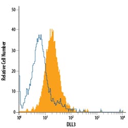 Human DLL3 PE-conjugated Antibody, R&D Systems™
