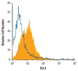 Human DLL4 Antibody, R D Systems 100ug; Unlabeled:Antibodies, Monoclonal