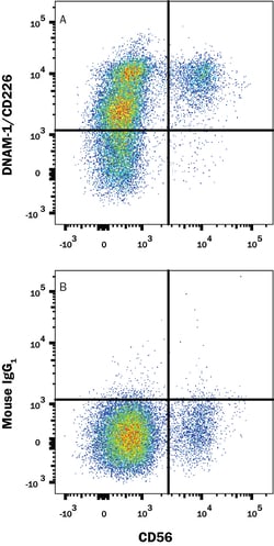 Human DNAM-1/CD226 Antibody, R D Systems:Antibodies:Primary Antibodies