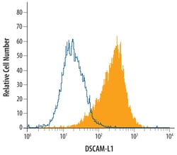 Human DSCAM-L1 Antibody, R D Systems 100&mu;g; Unlabeled:Antibodies, Polyclonal