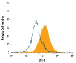 Human ECE-1 Antibody, R D Systems 100&mu;g; Unlabeled:Antibodies, Polyclonal