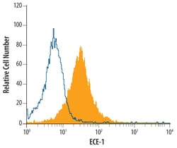 Human ECE-1 Antibody, R D Systems 25&mu;g; Unlabeled:Antibodies, Monoclonal