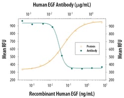 Human EGF Antibody, R D Systems 25&mu;g; Unlabeled:Antibodies, Polyclonal