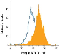 Human Phospho-EGFR (Y1173) Antibody, R D Systems 50 &mu;g | Buy Online | R&D Systems | Fisher Scientific