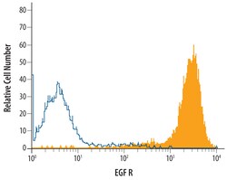 Human EGFR Antibody, R D Systems 100&mu;g; Unlabeled:Antibodies, Polyclonal