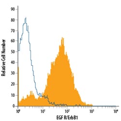 Human EGFR Alexa Fluor 488-conjugated Antibody, R D Systems 100 Tests;