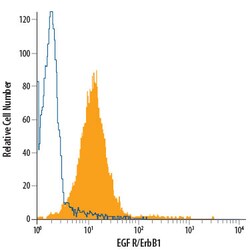 Human EGFR PE-conjugated Antibody, R D Systems 100 Tests | Buy Online | R&D Systems | Fisher Scientific
