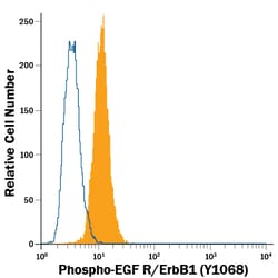 Phospho-EGFR (Y1068) Fluorescein-conjugated Antibody, R D Systems 100 Tests;