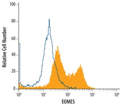 EOMES Sheep anti-Human, Polyclonal, R D Systems 25&mu;g; Unlabeled, Quantity: