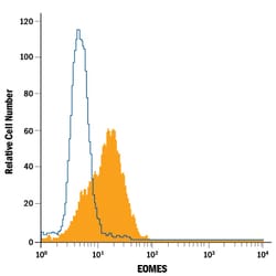 Human EOMES Alexa Fluor 488-conjugated Antibody, R D Systems 100 Tests;