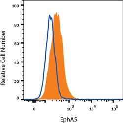 Human/Rat EphA5 Antibody, R D Systems 500ug; Unlabeled:Antibodies, Monoclonal