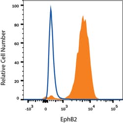 Human/Mouse EphB2 Antibody, R D Systems 25&mu;g; Unlabeled:Antibodies,