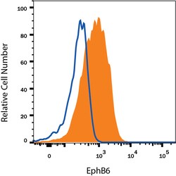 Human EphB6 Antibody, R D Systems 25&mu;g; Unlabeled:Antibodies, Monoclonal