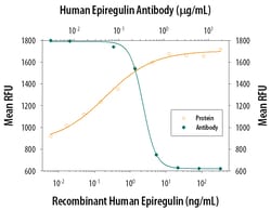 Human Epiregulin Antibody, R D Systems 100 &mu;g | Buy Online | R&D Systems | Fisher Scientific