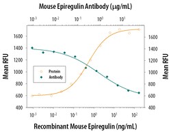 Mouse Epiregulin Antibody, R D Systems 25&mu;g; Unlabeled:Antibodies, Monoclonal