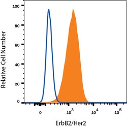 Human ErbB2/Her2 Antibody, R D Systems 100&mu;g; Unlabeled:Antibodies,